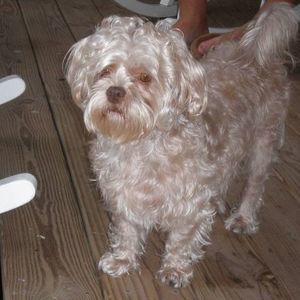 Meet your Posher, Suzanne